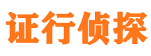 内乡市调查公司